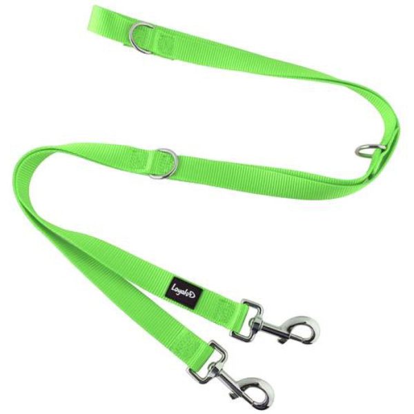 Loyal.D Multi-Purpose.D Dog Leash (Light Green) Online now