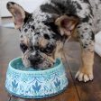 TarHong Gibraltar Double Wall Dog Bowl Cheap