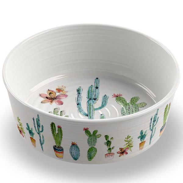 TarHong Cactus Dog Bowl Online now