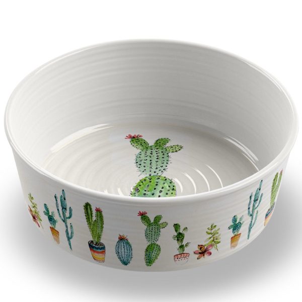 TarHong Cactus Dog Bowl Online now