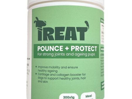 Treat Therapeutics Pounce + Protect Joint Dog Supplement 300g Sale