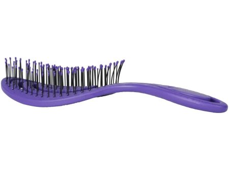 Bass Brushes Bio-Flex Swirl Detangling Hair Brush For Cats & Dogs (Purple) For Discount