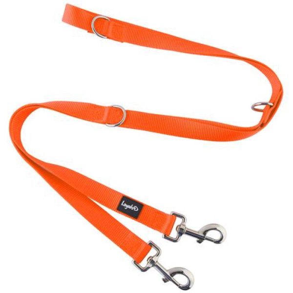 Loyal.D Multi-Purpose.D Dog Leash (Orange) For Sale