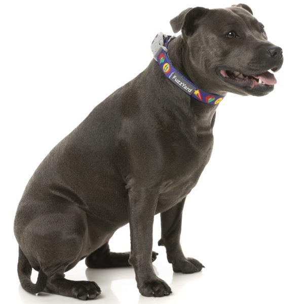 FuzzYard Dog Collar (Highscore) on Sale