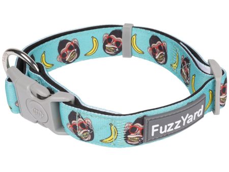 FuzzYard Dog Collar (Gor-illz) Hot on Sale