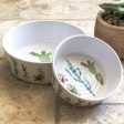 TarHong Cactus Dog Bowl Online now