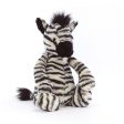 Bashful Zebra Medium Online now