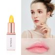 Lip Balm Temperate Changing Lipstick Long Lasting Hygienic Moisturizing Lipstick Anti Aging Makeup Pink Lip Care Discount