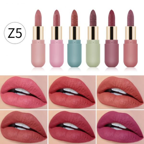 NEW 6 colors set Lipstick Matte Lipstick Waterproof Lip Makeup Lipstick Matte Long Lasting Moisturizing TSLM1 Online Hot Sale