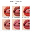 Pudaier New 16 Color Velvet Matte Lipstick Creative smoke tube Lipstick Moisturizer Not Dry Long Lasting Sexy Makeup TSLM1 Online now