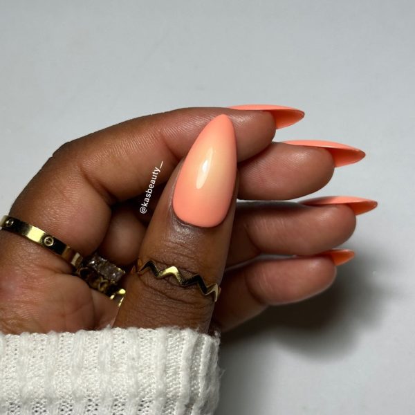 Sundown Press On Nail Set Online Hot Sale