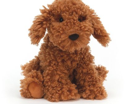 Cooper Doodle Dog Online Sale