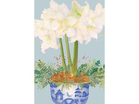 Potted Amaryllis Pale Blue Guest Towels Sale