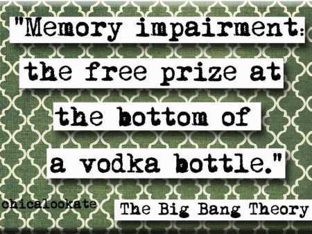 Big Bang Theory Vodka  Magnet  (no.398) For Sale