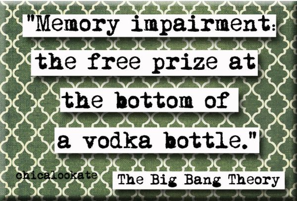 Big Bang Theory Vodka  Magnet  (no.398) For Sale