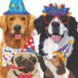 Party Pooches Beverage Napkin Supply