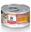 Hill s Science Diet Chicken & Vegetable Stew No Corn, Wheat, Soy Adult Wet Cat Food Supply