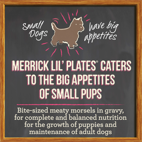 Merrick Lil  Plates Small Breed Grain Free Pint Size Puppy Plate in Gravy Dog Food Tray Cheap